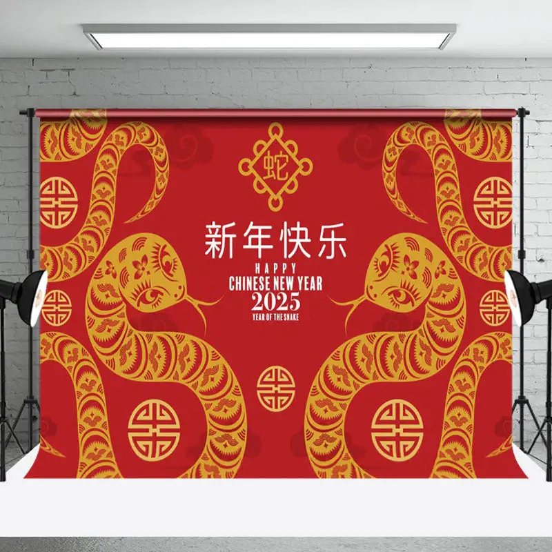 Aperturee Simple Chinese Knot Zodiac Snake New Year Backdrop - Aperturee