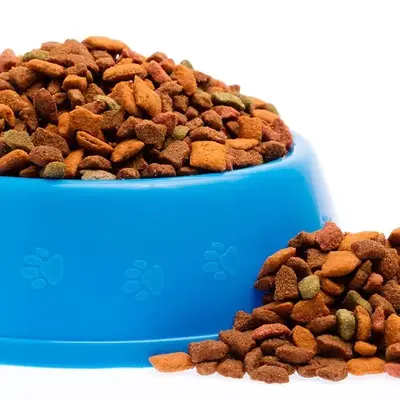Real Chicken Dog Food for All Breeds - High Protein and Low Fat
