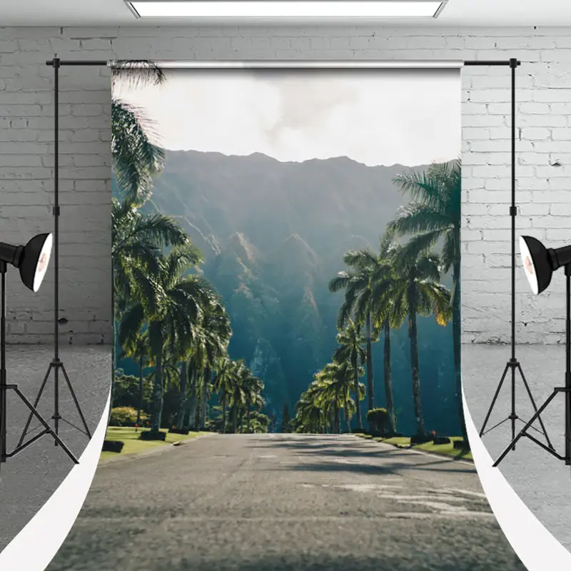 Wide Road Mountains Palm Trees Sweep Summer Backdrop - Aperturee