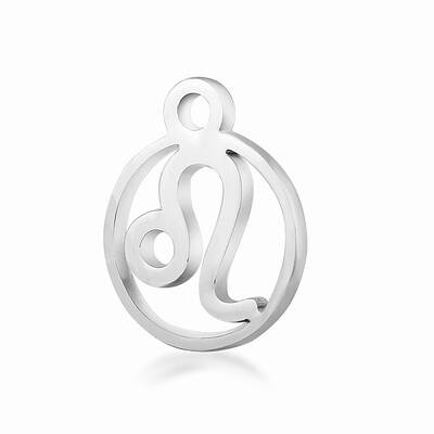Non-Tarnish 201 Stainless Steel Charms
