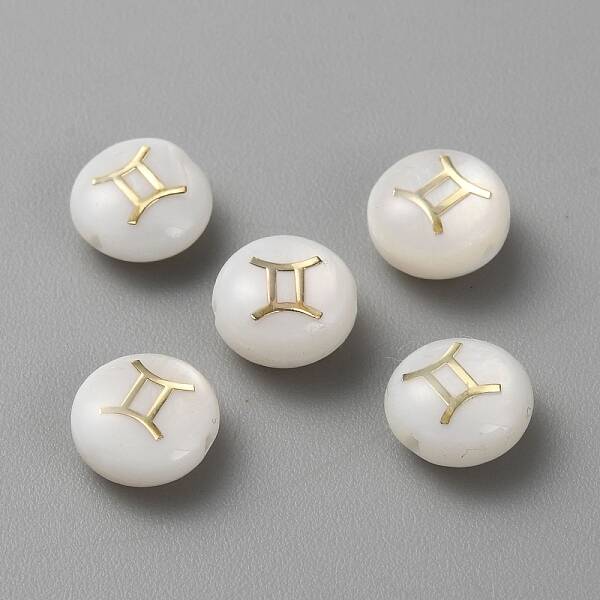 5Pcs Natural Freshwater Shell Beads