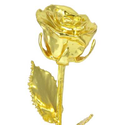 14 Real Gold Dipped Rose