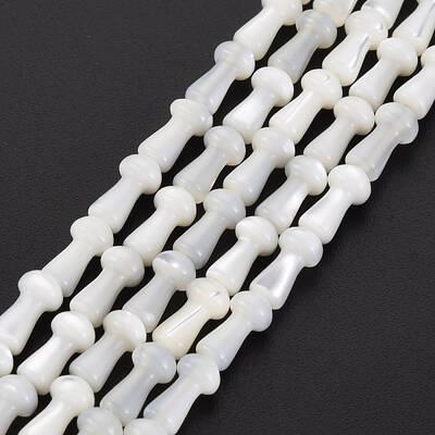 Natural Trochid Shell/Trochus Shell Beads Strands