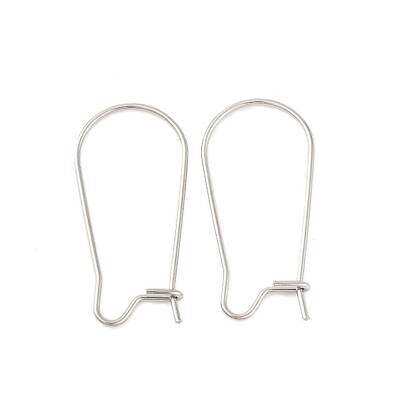 Non-Tarnish 316 Surgical Stainless Steel Hoop Earrings Findings Kidney Ear Wires