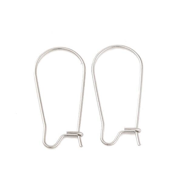 Non-Tarnish 316 Surgical Stainless Steel Hoop Earrings Findings Kidney Ear Wires