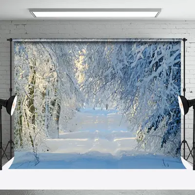 Aperturee Tranquil Winter Forest Pathway With Sunbeam Backdrop - Aperturee