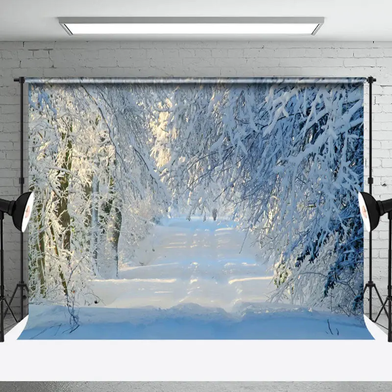 Aperturee Tranquil Winter Forest Pathway With Sunbeam Backdrop - Aperturee