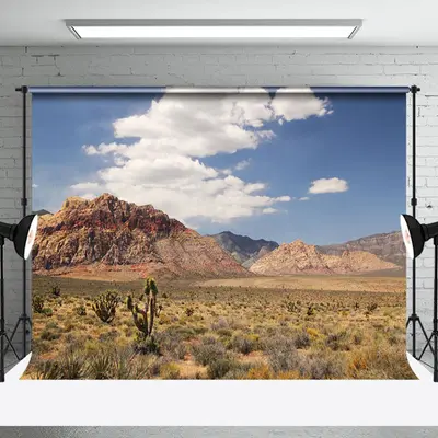 Blue Sky Desert Canyon Plant Nature Photo Backdrop - Aperturee