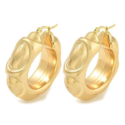 Ion Plating(IP) 304 Stainless Steel Hoop Earrings for Women