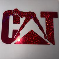 Custom Cat Sticker/Decal - Red Background with Glittery Design, Featuring Cat Silhouette and Letter \