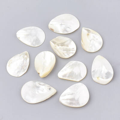Natural White Shell Beads