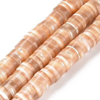 Natural Trochid Shell/Trochus Shell Beads Strands