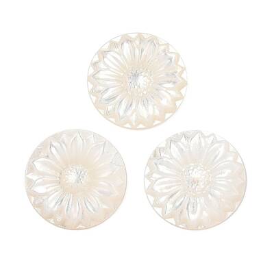 Natural Black Lip Shell Carved Cabochons