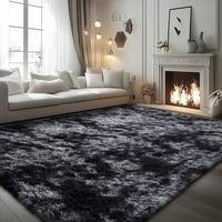 Area Rugs for Living Room Bedroom , Fluffy Fuzzy Shag Shaggy Carpet Soft Plush Area Rug, Indoor Floor Rug for Kids Home Decor...