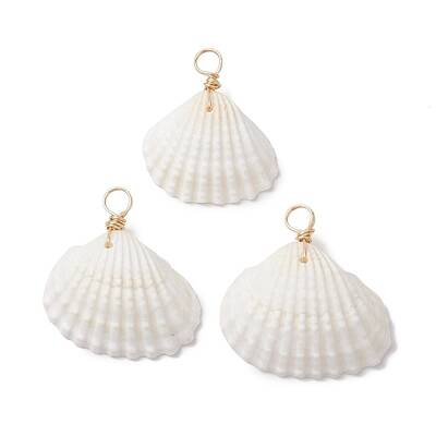 Natural Ark Shell Pendants