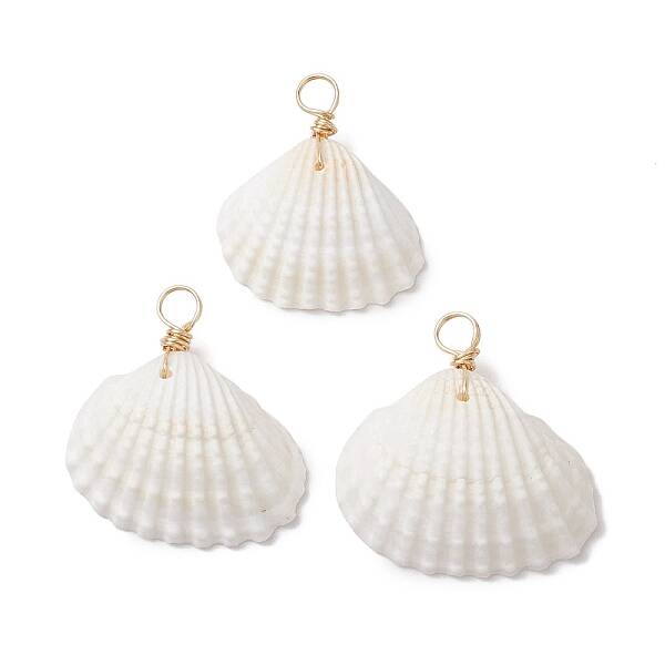 Natural Ark Shell Pendants