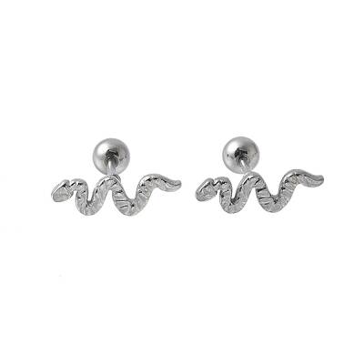 304 Stainless Steel Stud Earrings for Women