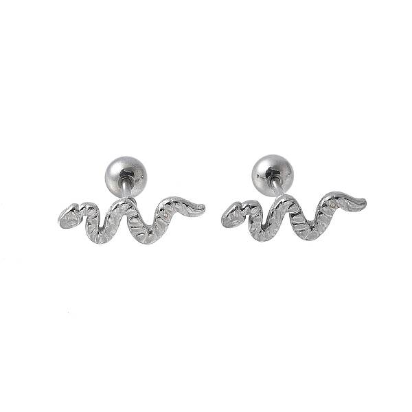 304 Stainless Steel Stud Earrings for Women
