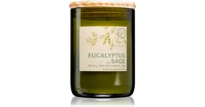 Paddywax Eco Green Eucalyptus and Sage Scented Candle 226g
