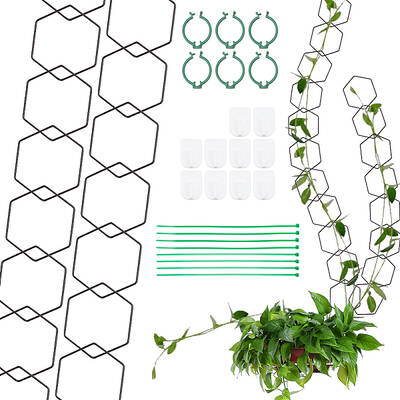 Garden Tools