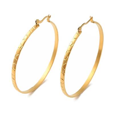 Ion Plating(IP) 304 Stainless Steel Hoop Earrings for Women