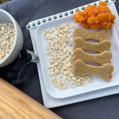Sweet Potato Harvest Organic Homemade Dog Treats