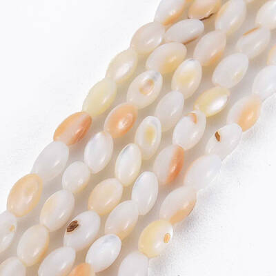 Natural Freshwater Shell Beads Strands