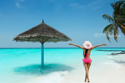 Aperturee Beach Sandy Palm tree Portrait Photography Backdrop