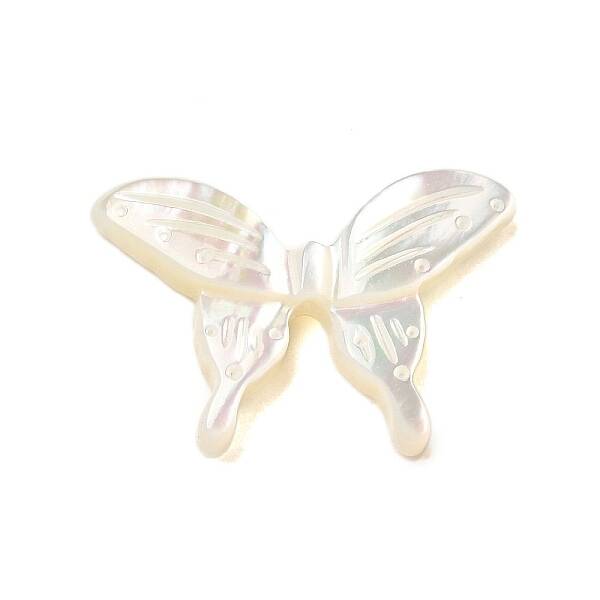 Natural White Shell Beads