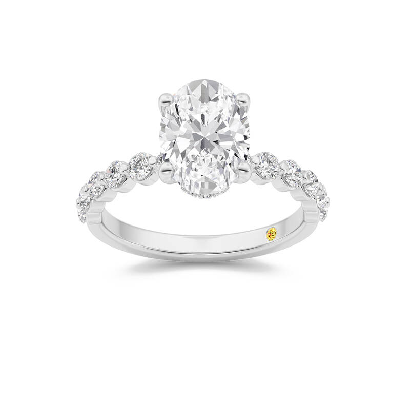 Frost Shared Prong Oval Lab Grown Diamond Engagement Ring | 10K White Gold 3 3/4 CT. TW.