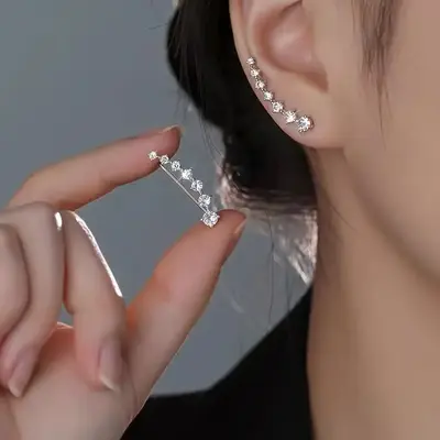 925 Sterling Silver Needle Zircon Earrings, Niche Earrings, Autumn And Winter High-End Earrings