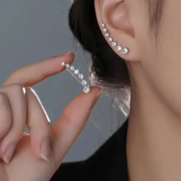 925 Sterling Silver Needle Zircon Earrings, Niche Earrings, Autumn And Winter High-End Earrings