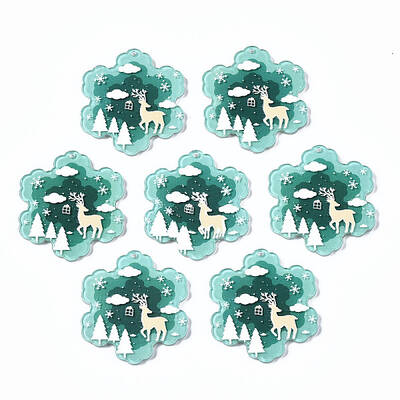 Transparent Printed Acrylic Pendants