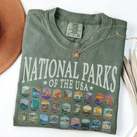 comfort color t shirts, National Parks Shirt US National Park Camping Shirt, Gift for Family Trip Nature Lover Hiking Tee, Re...