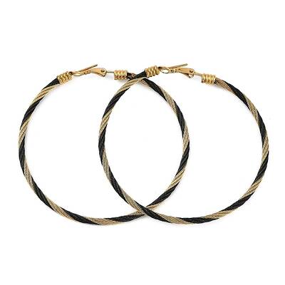 Ion Plating(IP) 304 Stainless Steel Ring Hoop Earrings for Women
