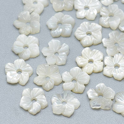 Natural White Shell Beads