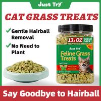 JUST TRY 13.4 OZ Cat Grass Treats Natural Salmon Flavor Healthy Cat Snacks Training Biscuits Catnip for Cats Dental and Hairb...