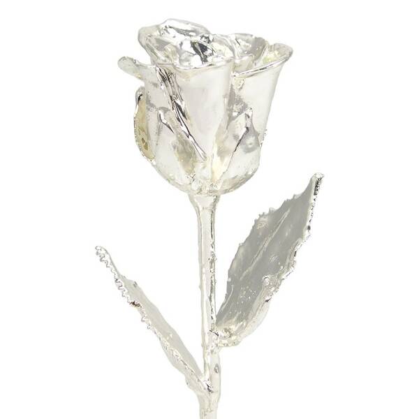 8 Silver Dipped Rose