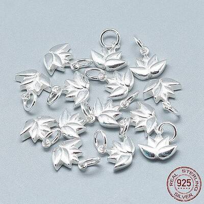 925 Sterling Silver Charms