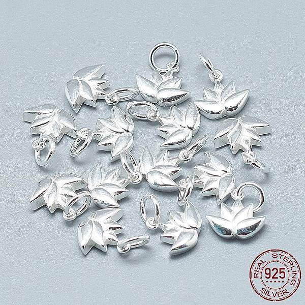 925 Sterling Silver Charms