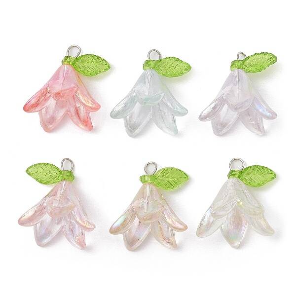 6Pcs Transparent Acrylic Pendants