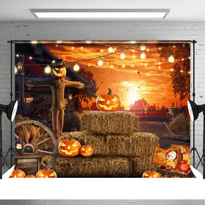 Sunset Punpkin Lantern Scarecrow Halloween Backdrop - Aperturee