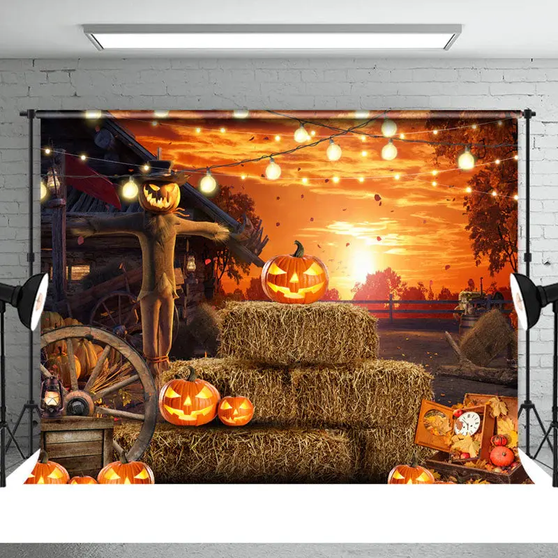 Sunset Punpkin Lantern Scarecrow Halloween Backdrop - Aperturee