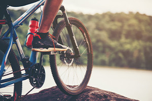 Understanding the Basics of Cycling