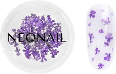 NEONAIL Dried Flowers dry flower for nails color 06 Violet