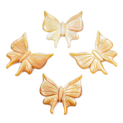 Natural Yellow Shell Beads