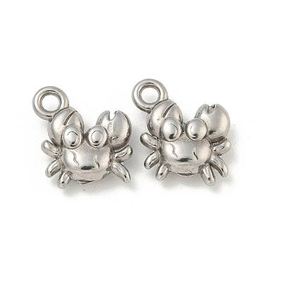 Non-Tarnish 304 Stainless Steel Charms