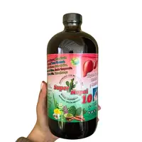 Super Nopal 10 Antioxidantes - Natural Formula for Healthcare and Vitamins