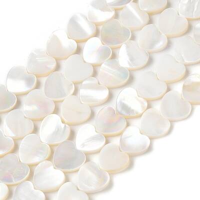Natural White Shell Beads Strands