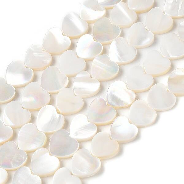 Natural White Shell Beads Strands